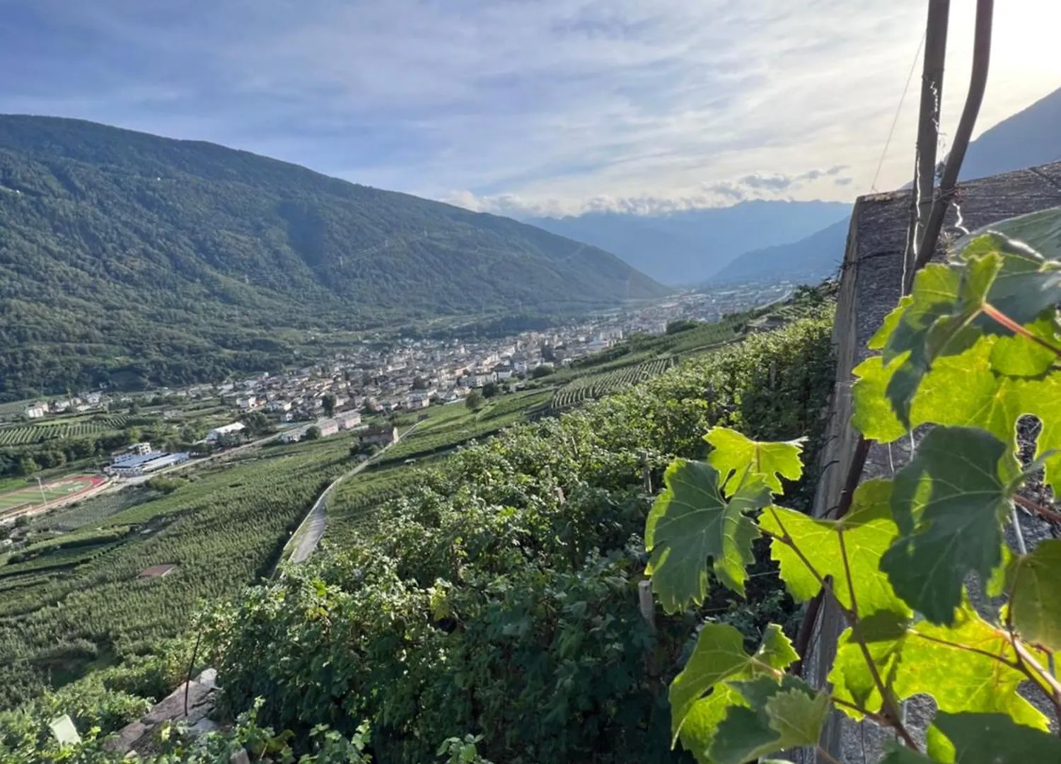 Bed and breakfast Sanmartino Suite Tirano